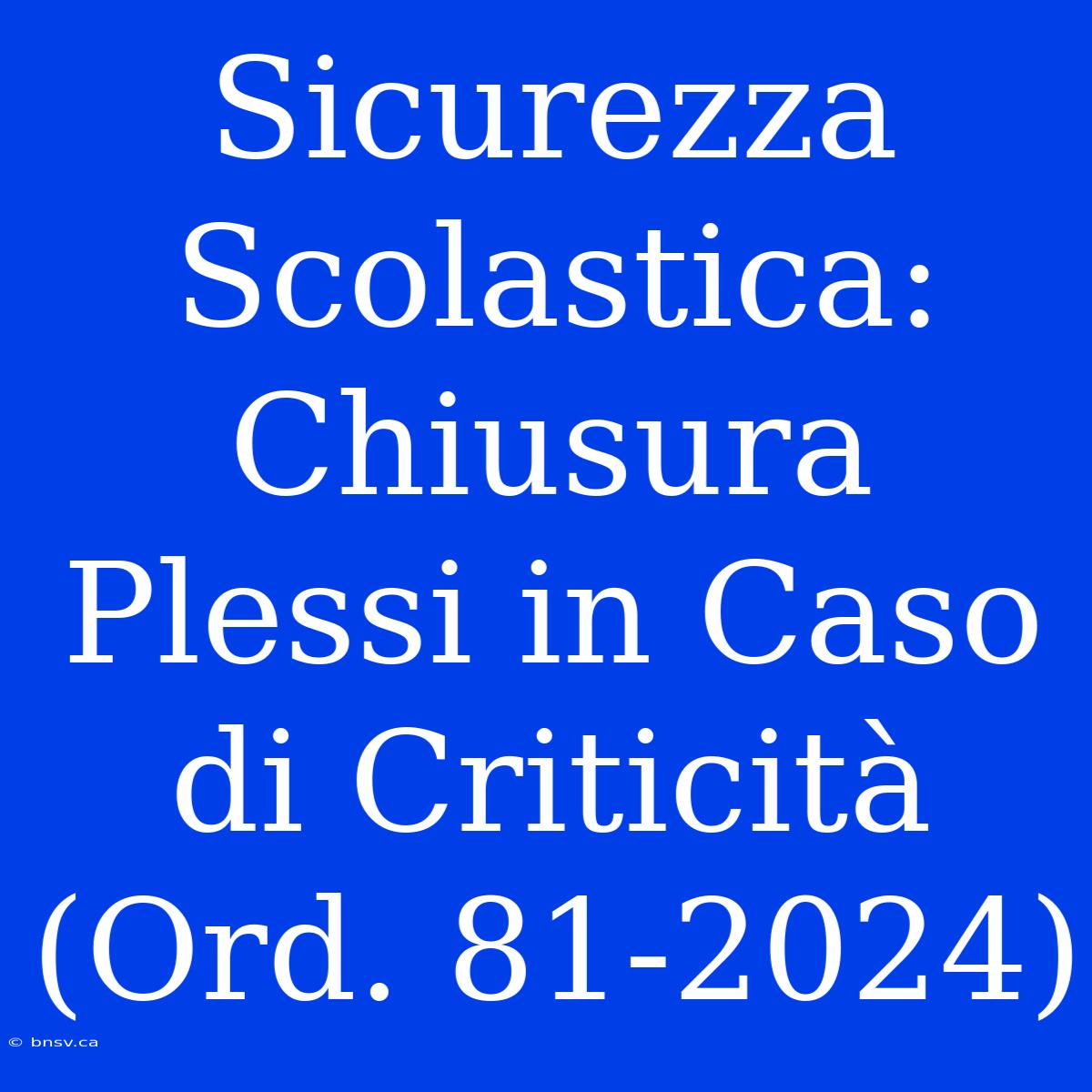 Sicurezza Scolastica: Chiusura Plessi In Caso Di Criticità (Ord. 81-2024)