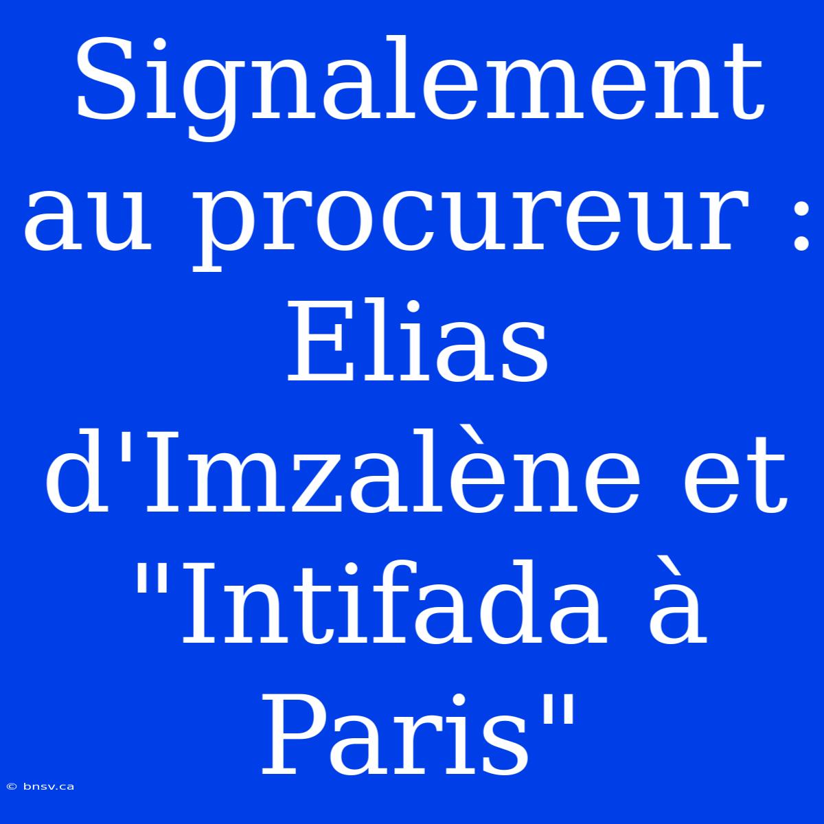 Signalement Au Procureur : Elias D'Imzalène Et 