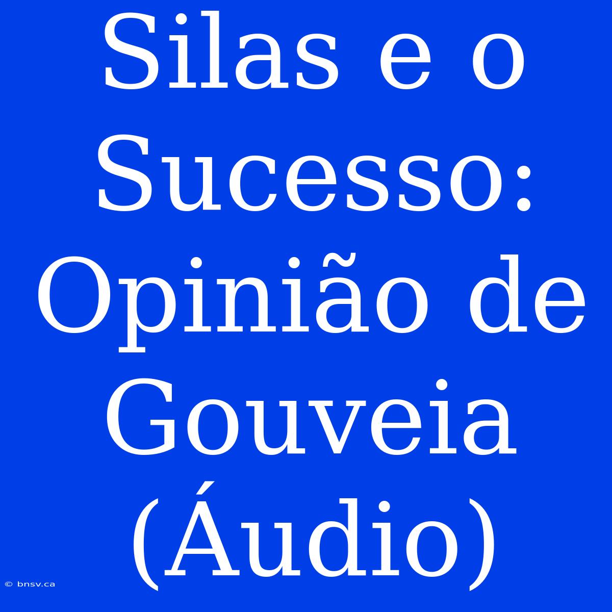 Silas E O Sucesso: Opinião De Gouveia (Áudio)