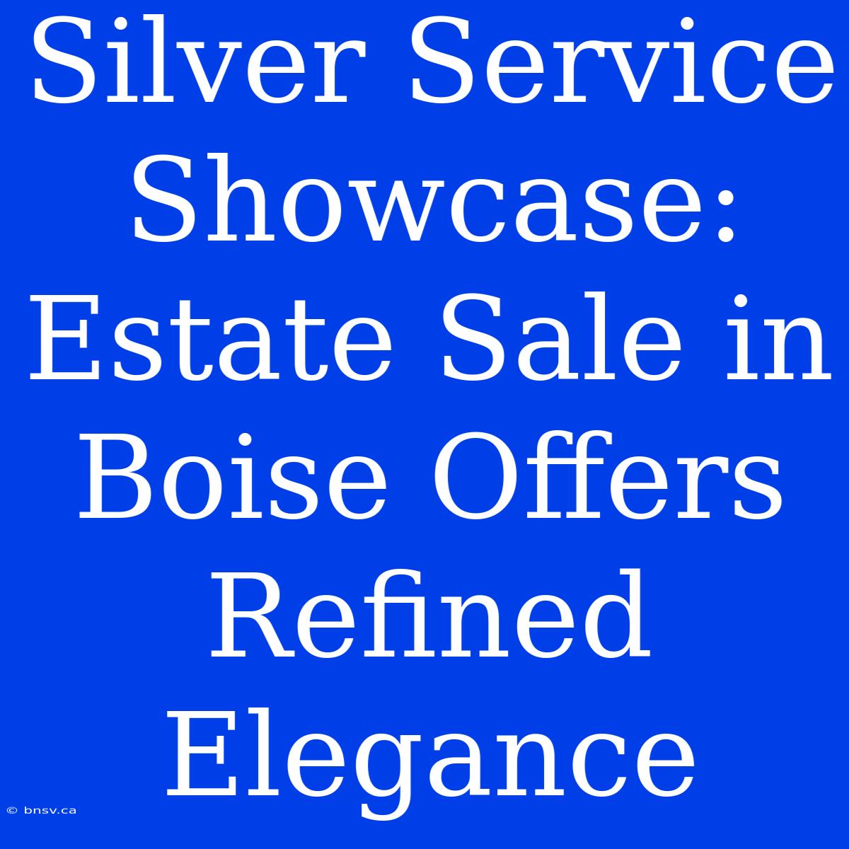 Silver Service Showcase: Estate Sale In Boise Offers Refined Elegance