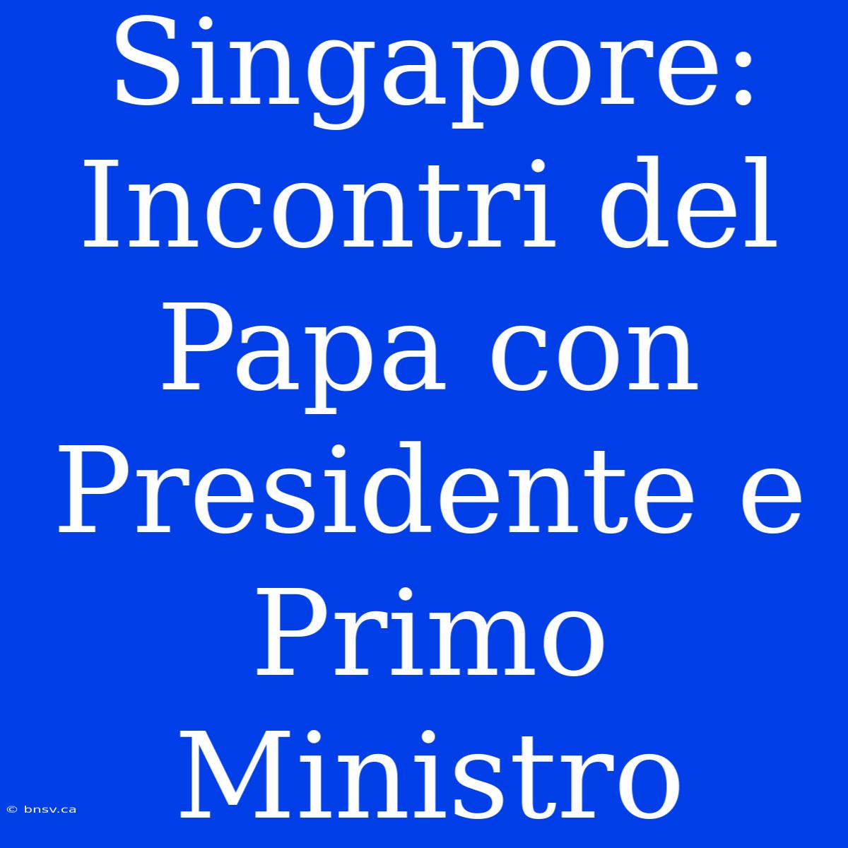 Singapore: Incontri Del Papa Con Presidente E Primo Ministro