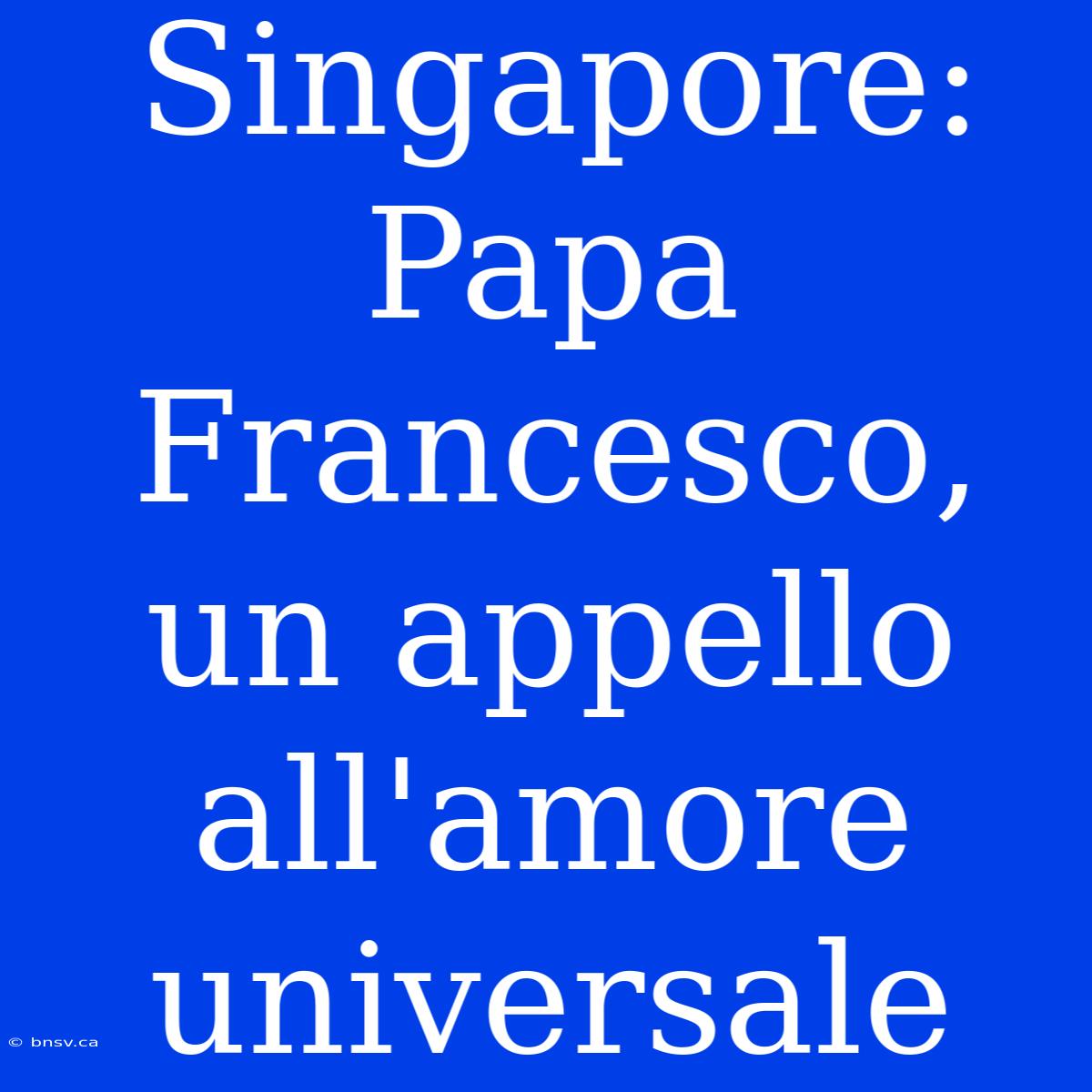 Singapore: Papa Francesco, Un Appello All'amore Universale