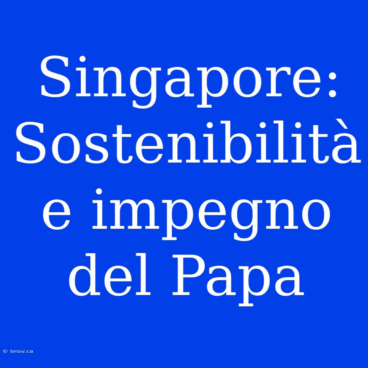 Singapore: Sostenibilità E Impegno Del Papa