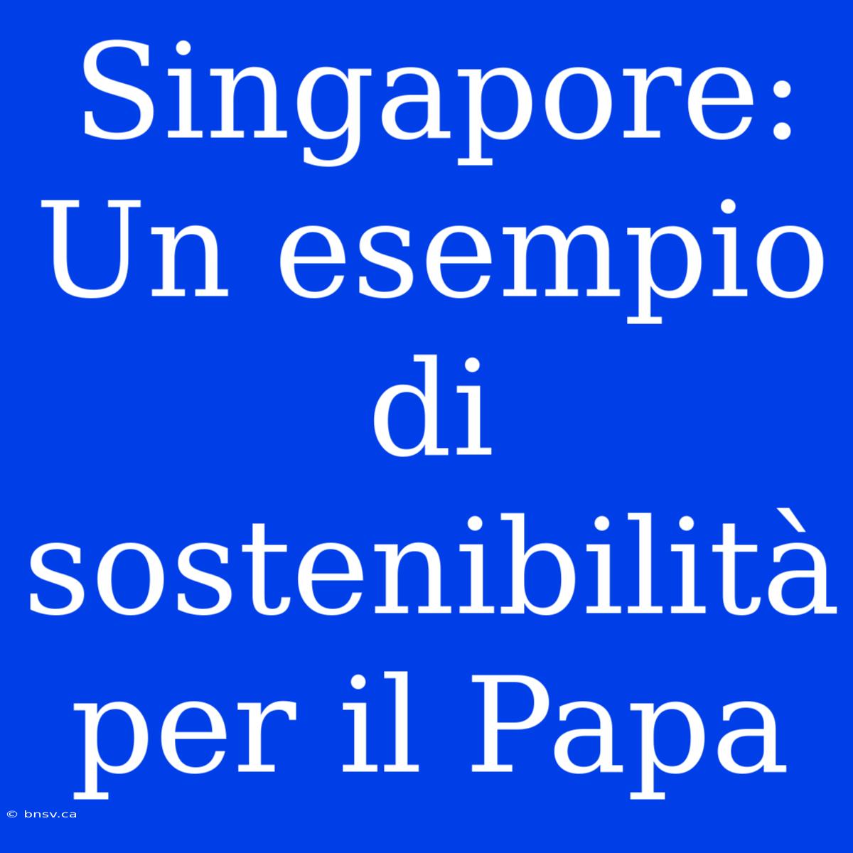 Singapore: Un Esempio Di Sostenibilità Per Il Papa