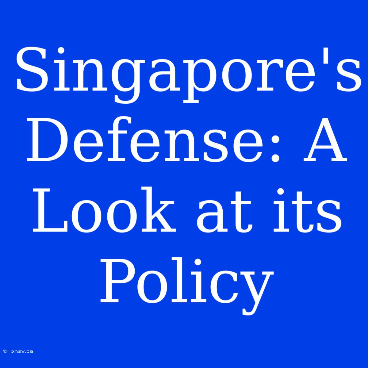 Singapore's Defense: A Look At Its Policy