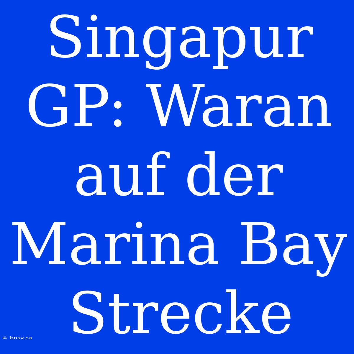 Singapur GP: Waran Auf Der Marina Bay Strecke