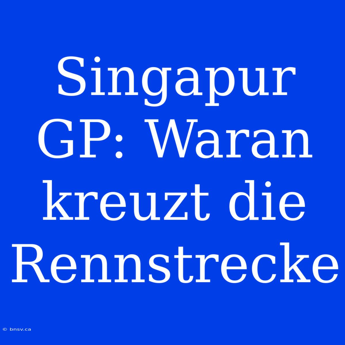 Singapur GP: Waran Kreuzt Die Rennstrecke