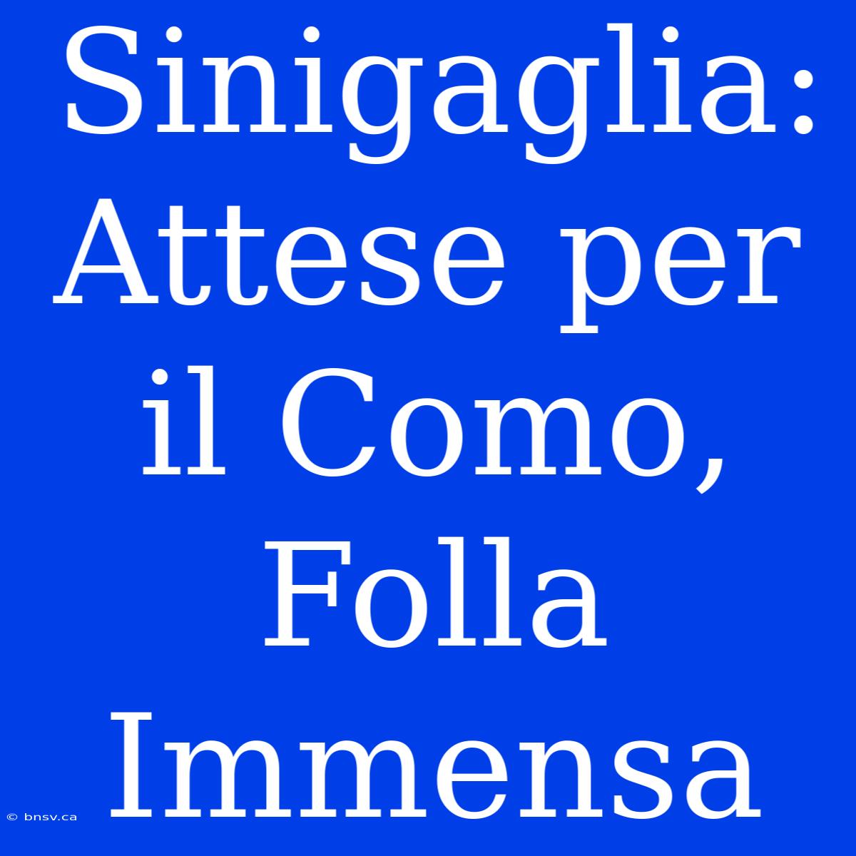 Sinigaglia: Attese Per Il Como, Folla Immensa