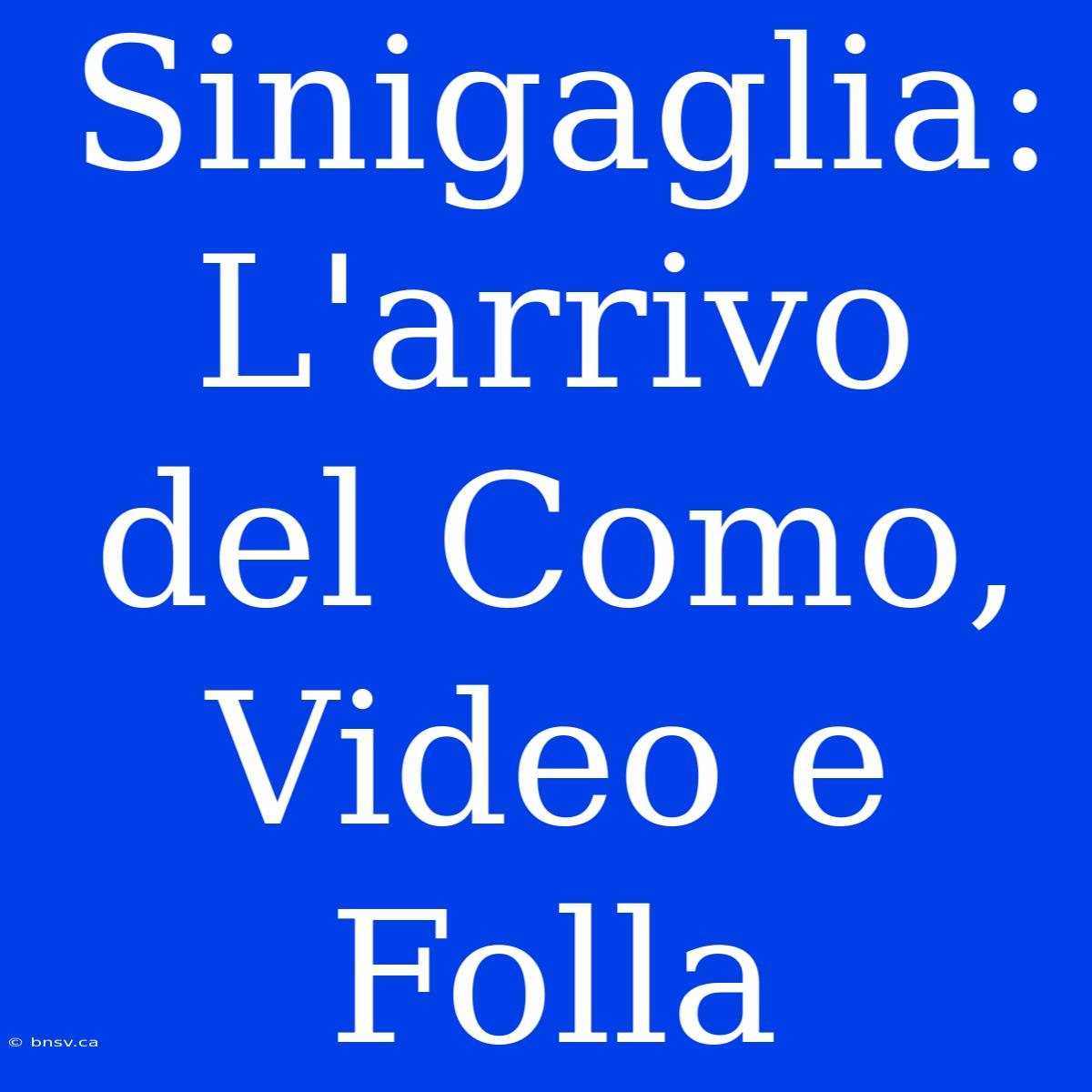 Sinigaglia: L'arrivo Del Como, Video E Folla