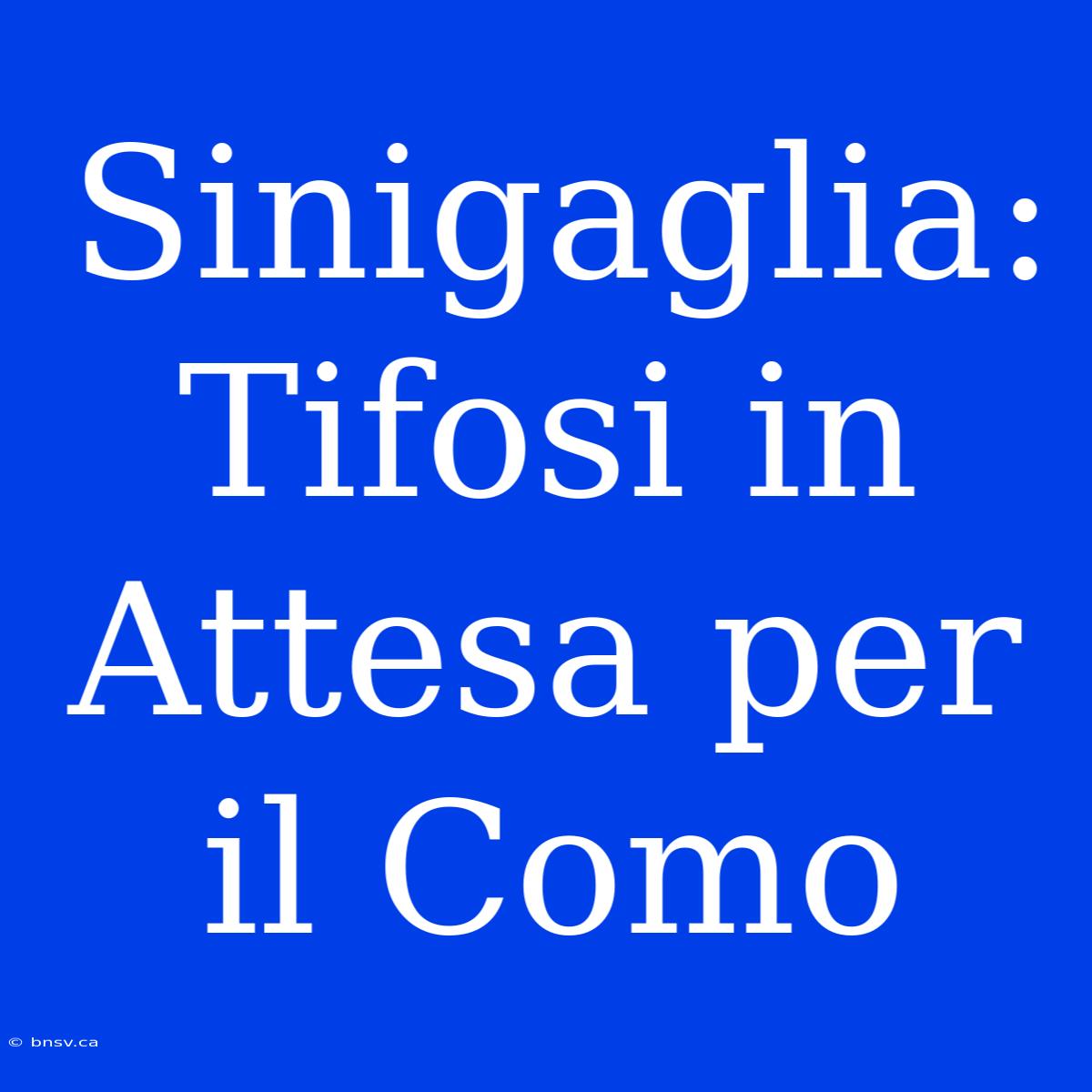 Sinigaglia: Tifosi In Attesa Per Il Como