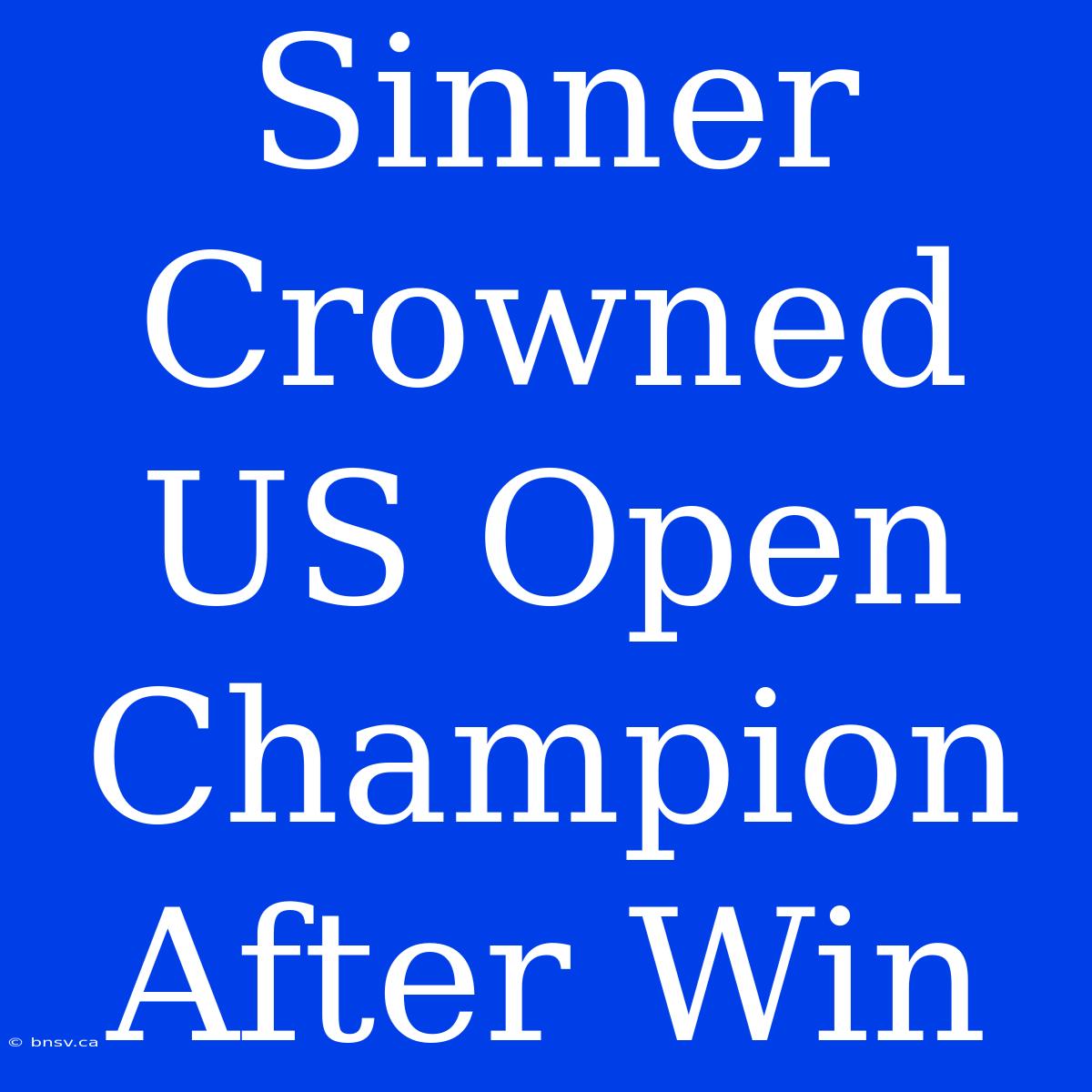 Sinner Crowned US Open Champion After Win