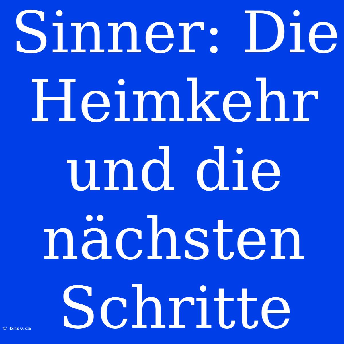 Sinner: Die Heimkehr Und Die Nächsten Schritte