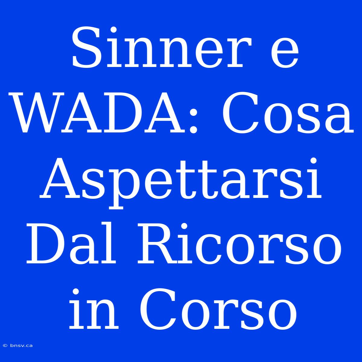 Sinner E WADA: Cosa Aspettarsi Dal Ricorso In Corso