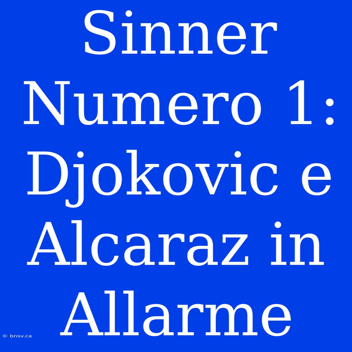 Sinner Numero 1: Djokovic E Alcaraz In Allarme