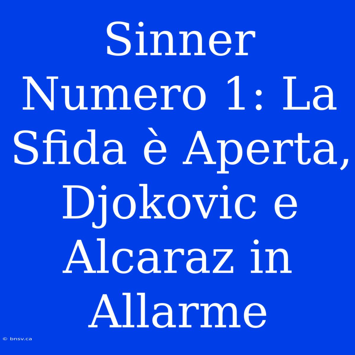 Sinner Numero 1: La Sfida È Aperta, Djokovic E Alcaraz In Allarme