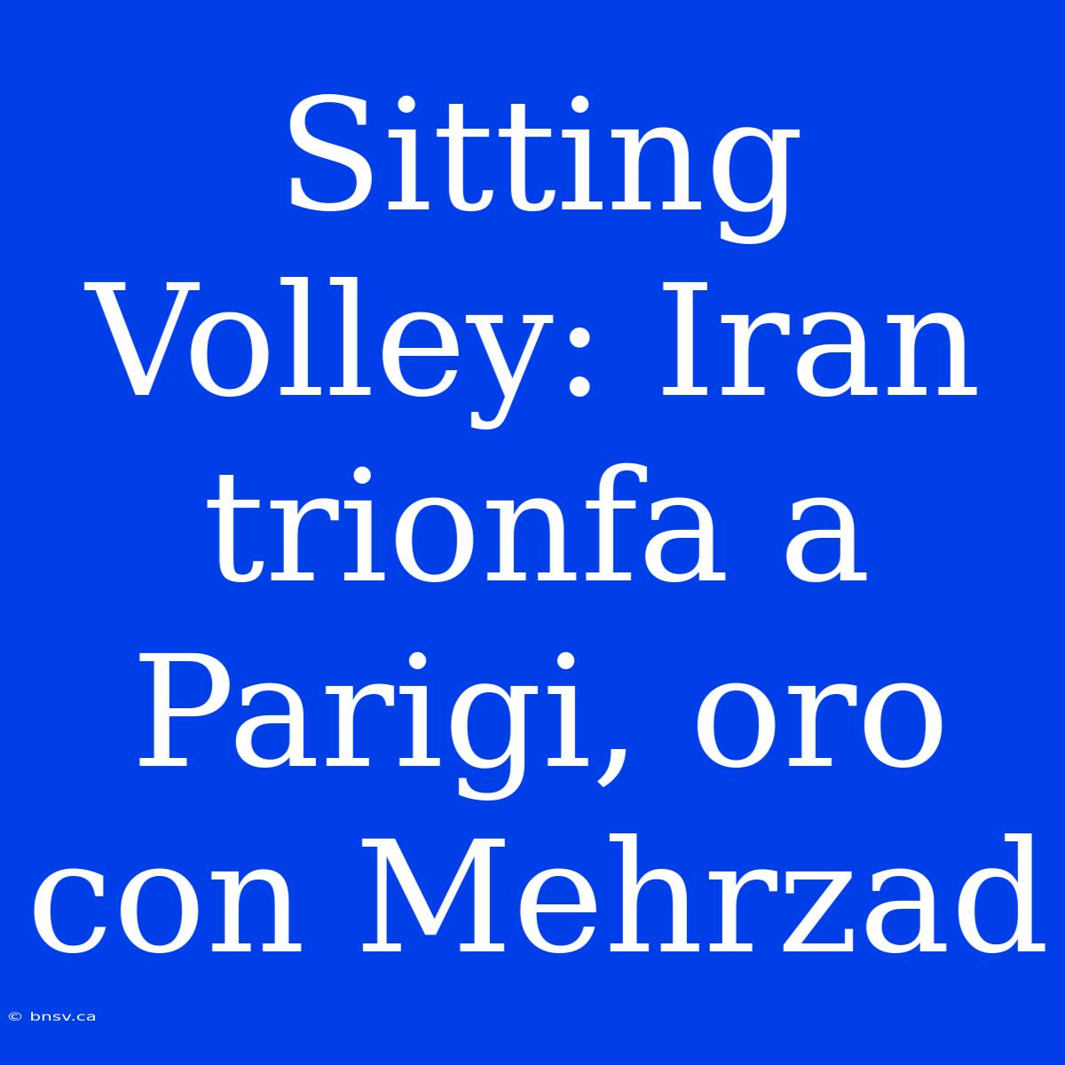 Sitting Volley: Iran Trionfa A Parigi, Oro Con Mehrzad