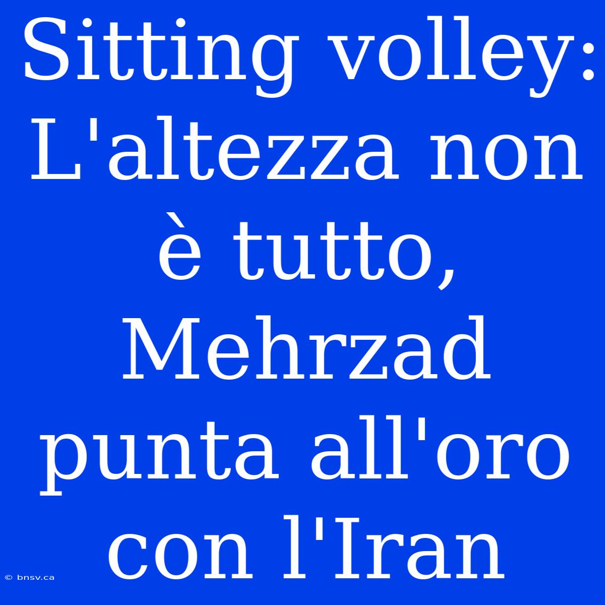 Sitting Volley: L'altezza Non È Tutto, Mehrzad Punta All'oro Con L'Iran