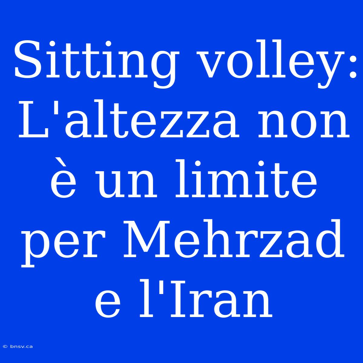 Sitting Volley: L'altezza Non È Un Limite Per Mehrzad E L'Iran