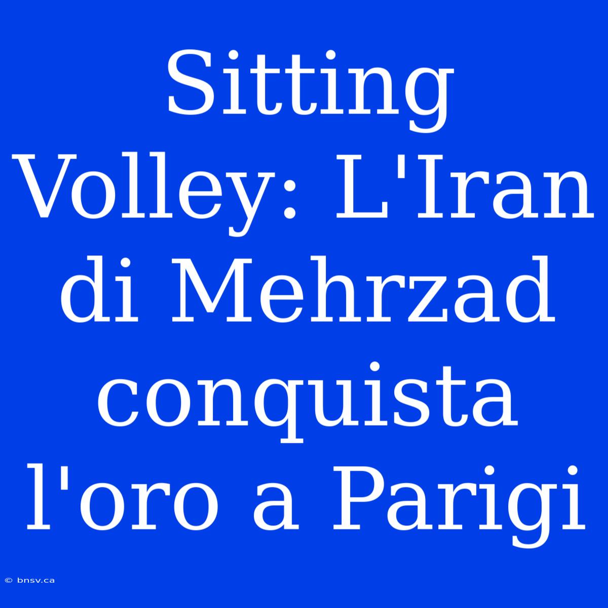 Sitting Volley: L'Iran Di Mehrzad Conquista L'oro A Parigi