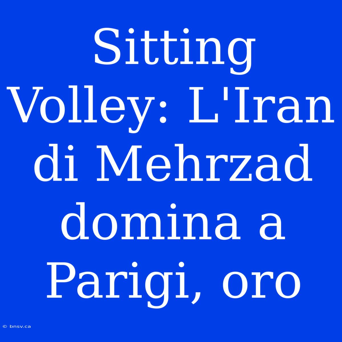 Sitting Volley: L'Iran Di Mehrzad Domina A Parigi, Oro