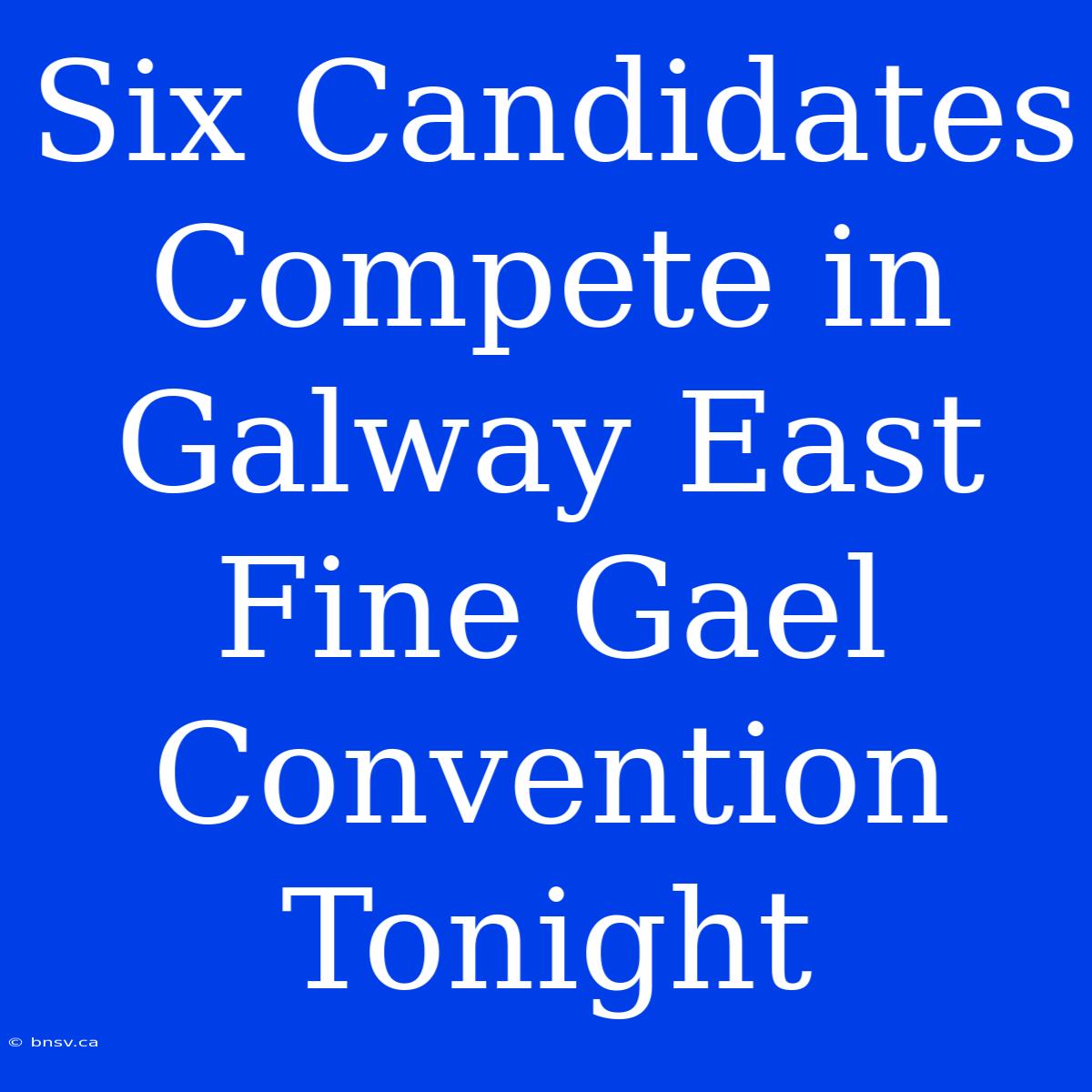 Six Candidates Compete In Galway East Fine Gael Convention Tonight