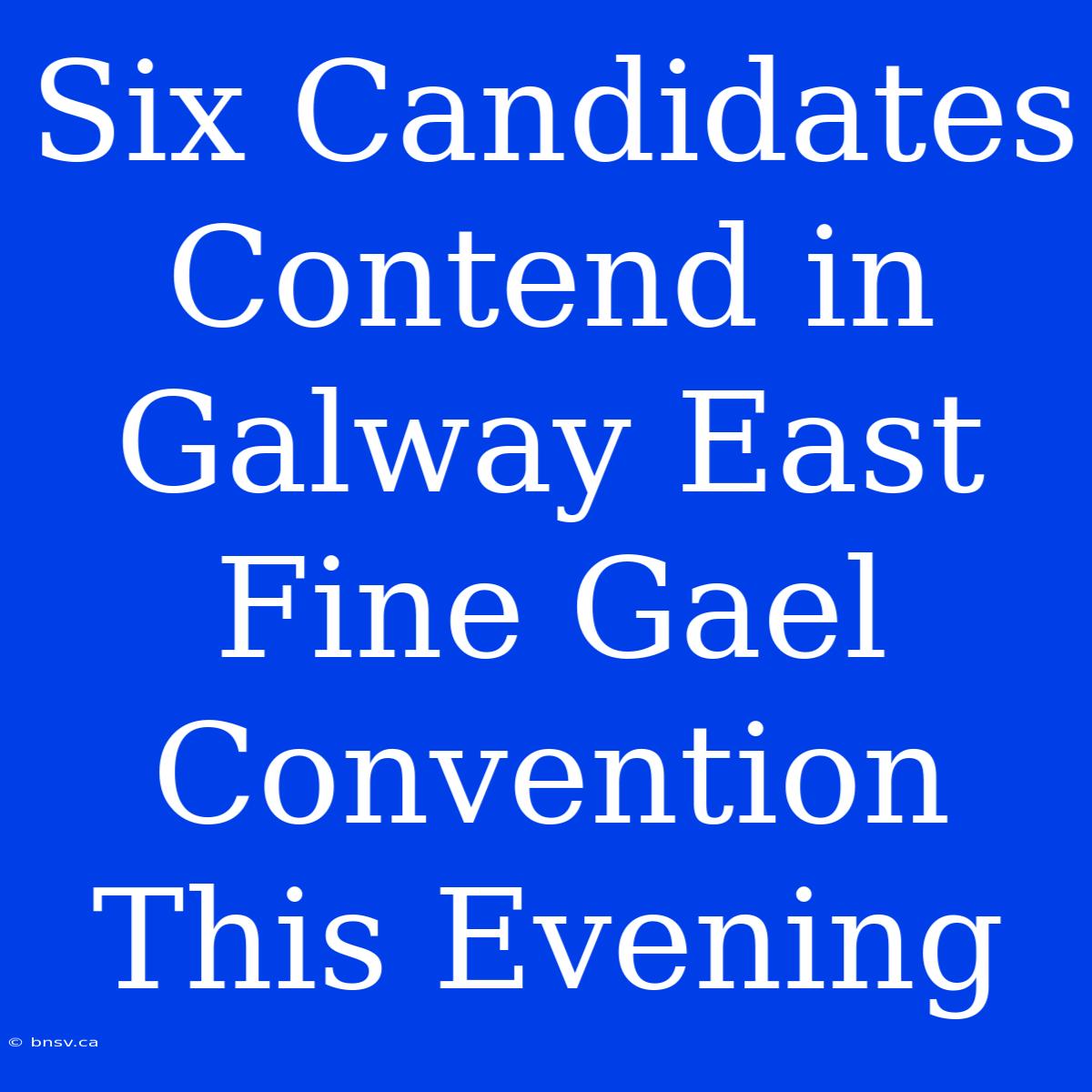 Six Candidates Contend In Galway East Fine Gael Convention This Evening