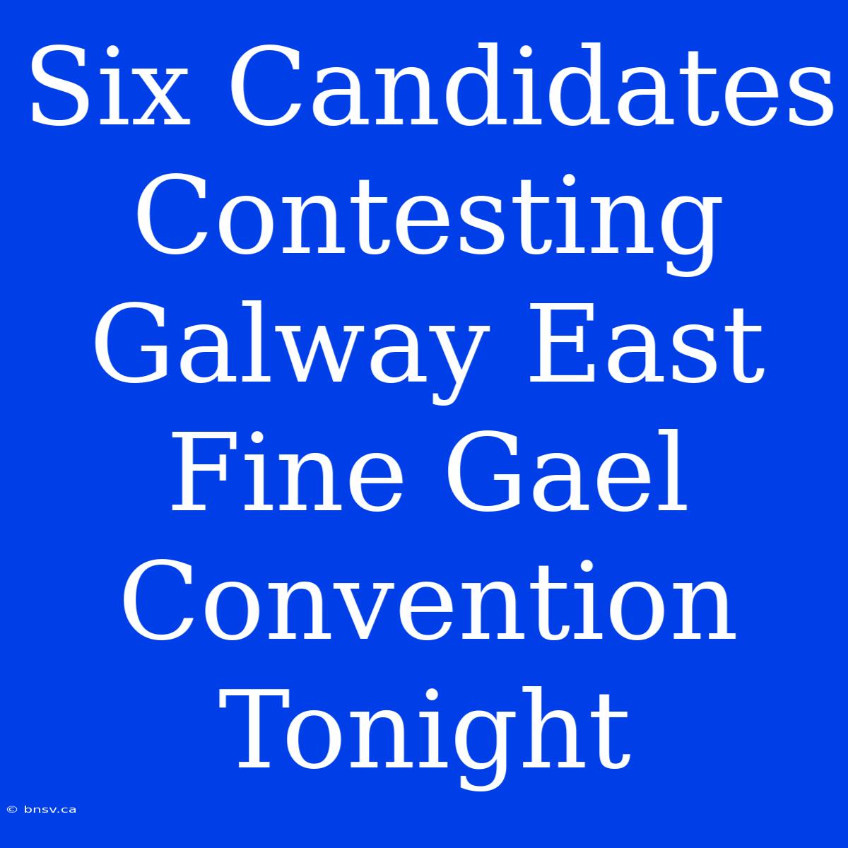 Six Candidates Contesting Galway East Fine Gael Convention Tonight