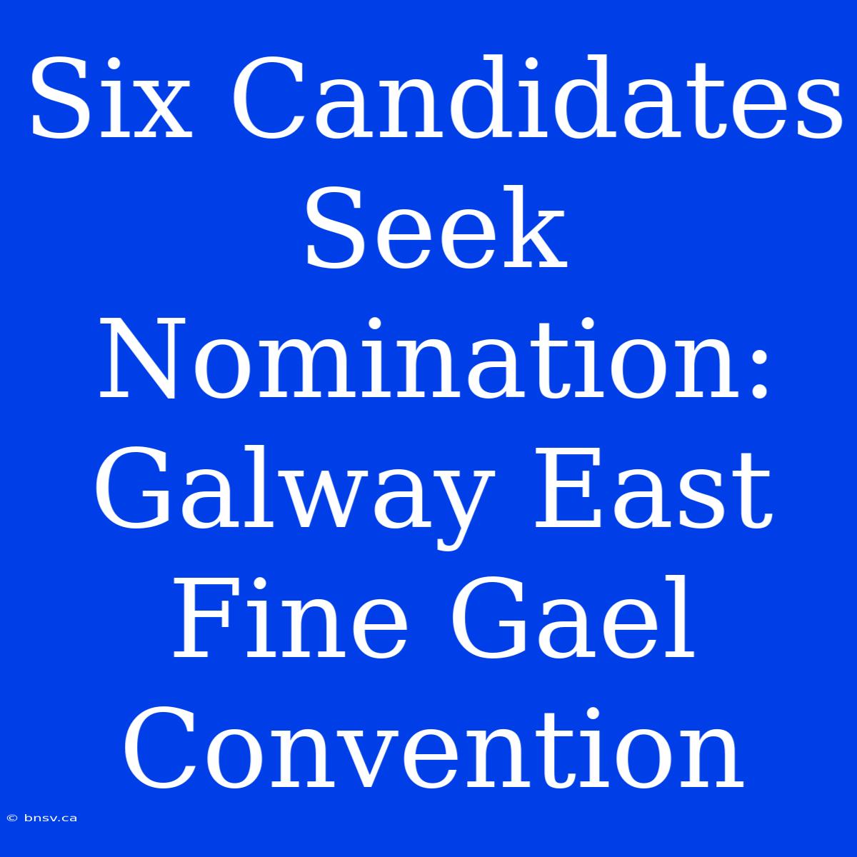 Six Candidates Seek Nomination: Galway East Fine Gael Convention