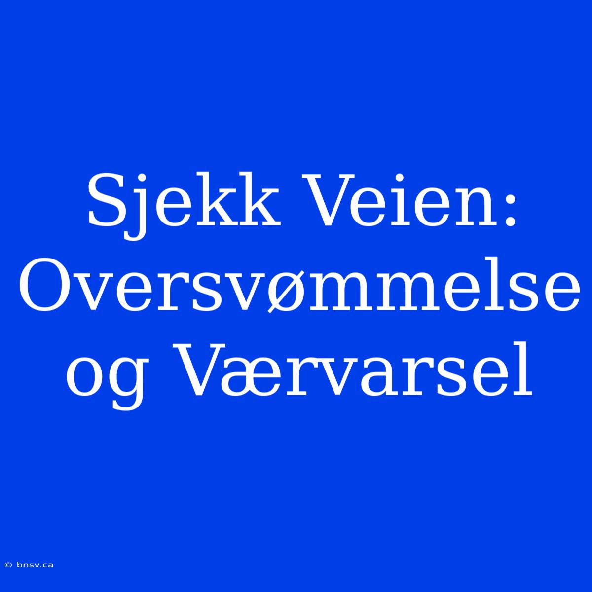 Sjekk Veien: Oversvømmelse Og Værvarsel