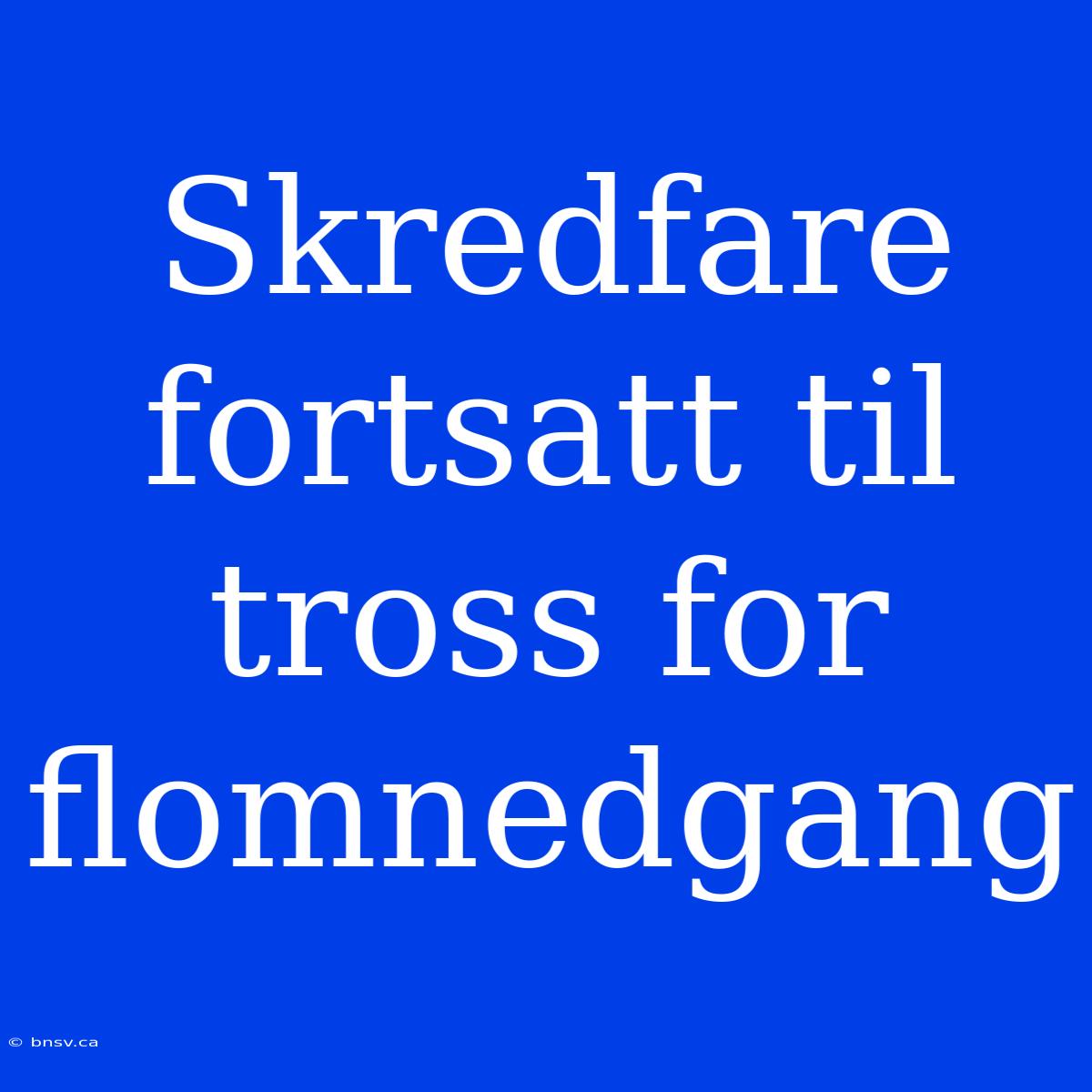 Skredfare Fortsatt Til Tross For Flomnedgang