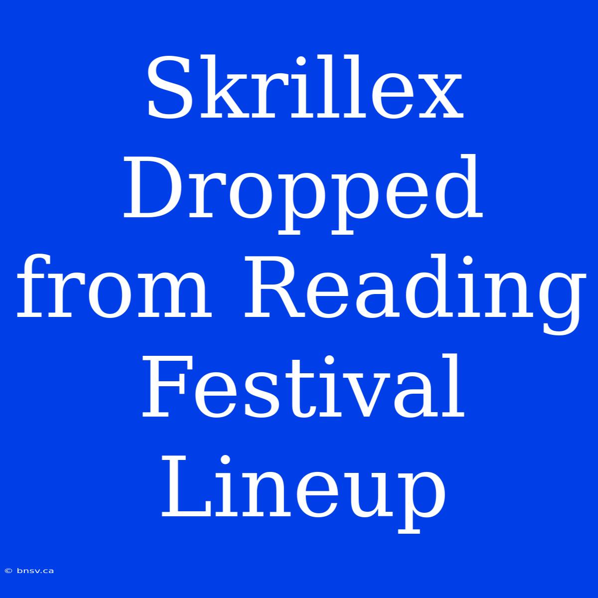 Skrillex Dropped From Reading Festival Lineup