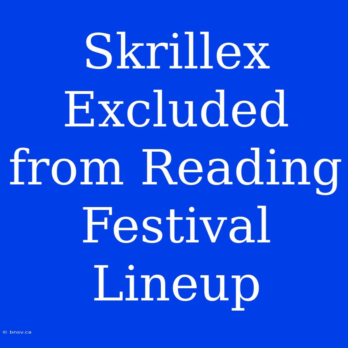 Skrillex Excluded From Reading Festival Lineup