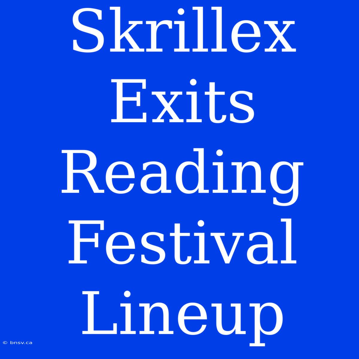 Skrillex Exits Reading Festival Lineup