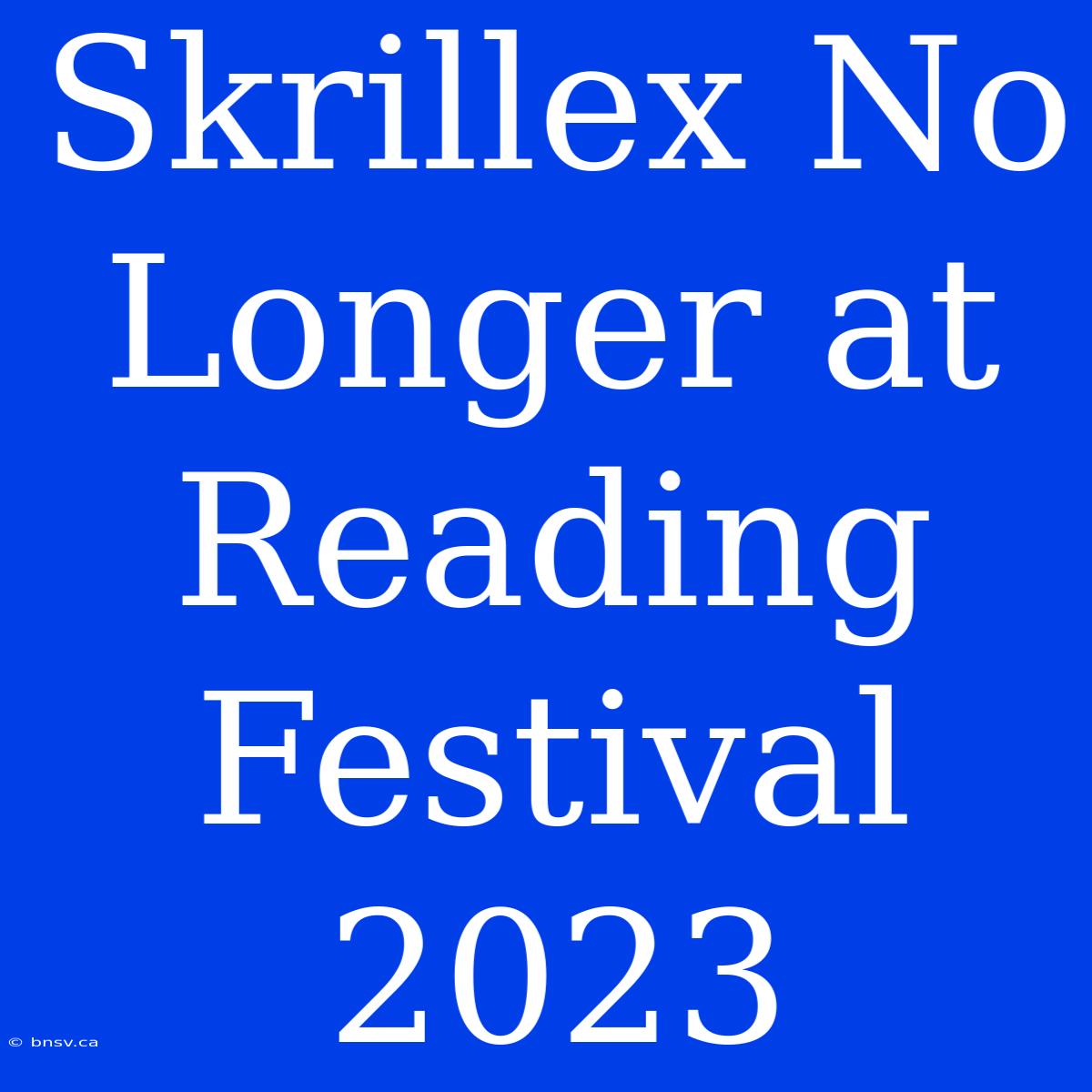 Skrillex No Longer At Reading Festival 2023