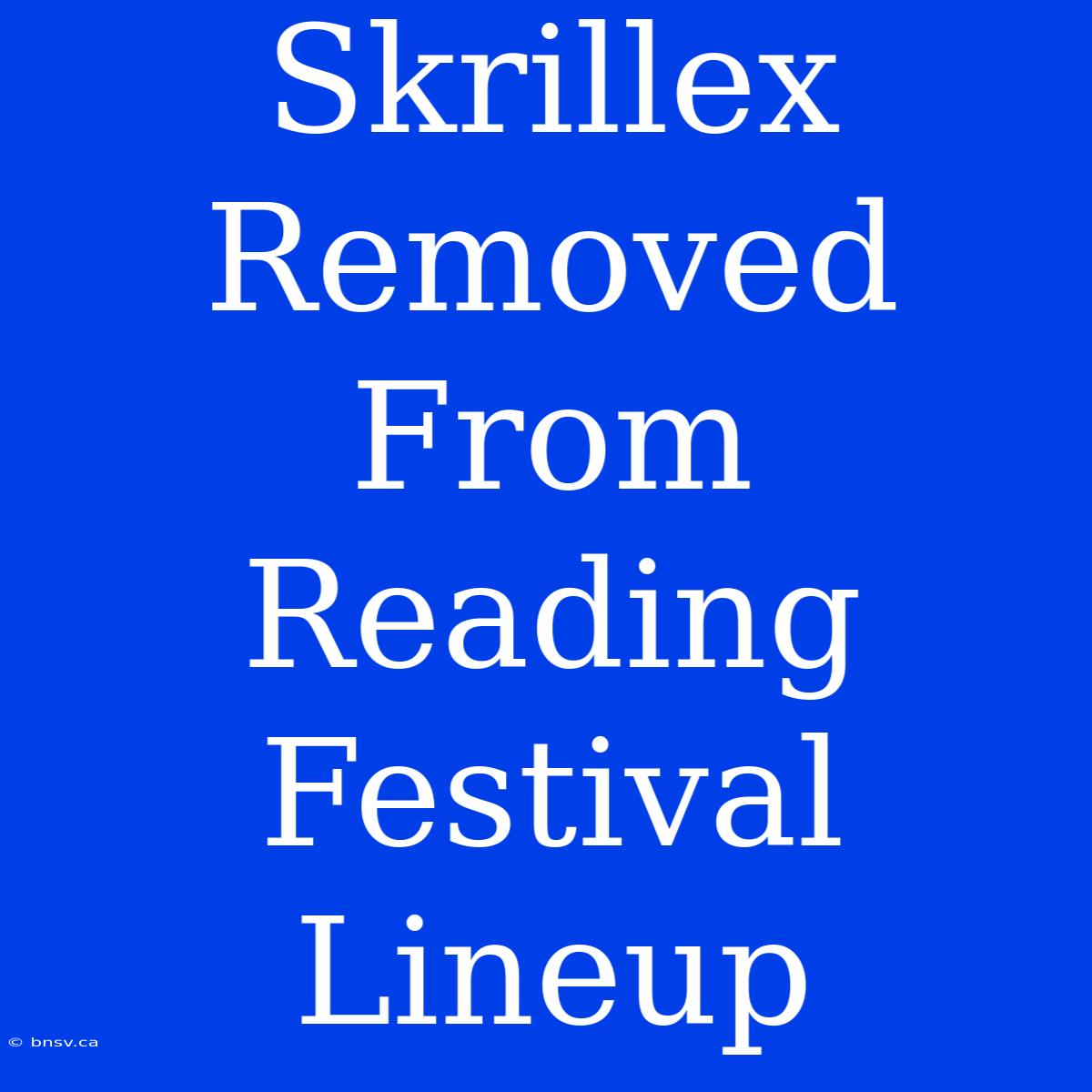 Skrillex Removed From Reading Festival Lineup