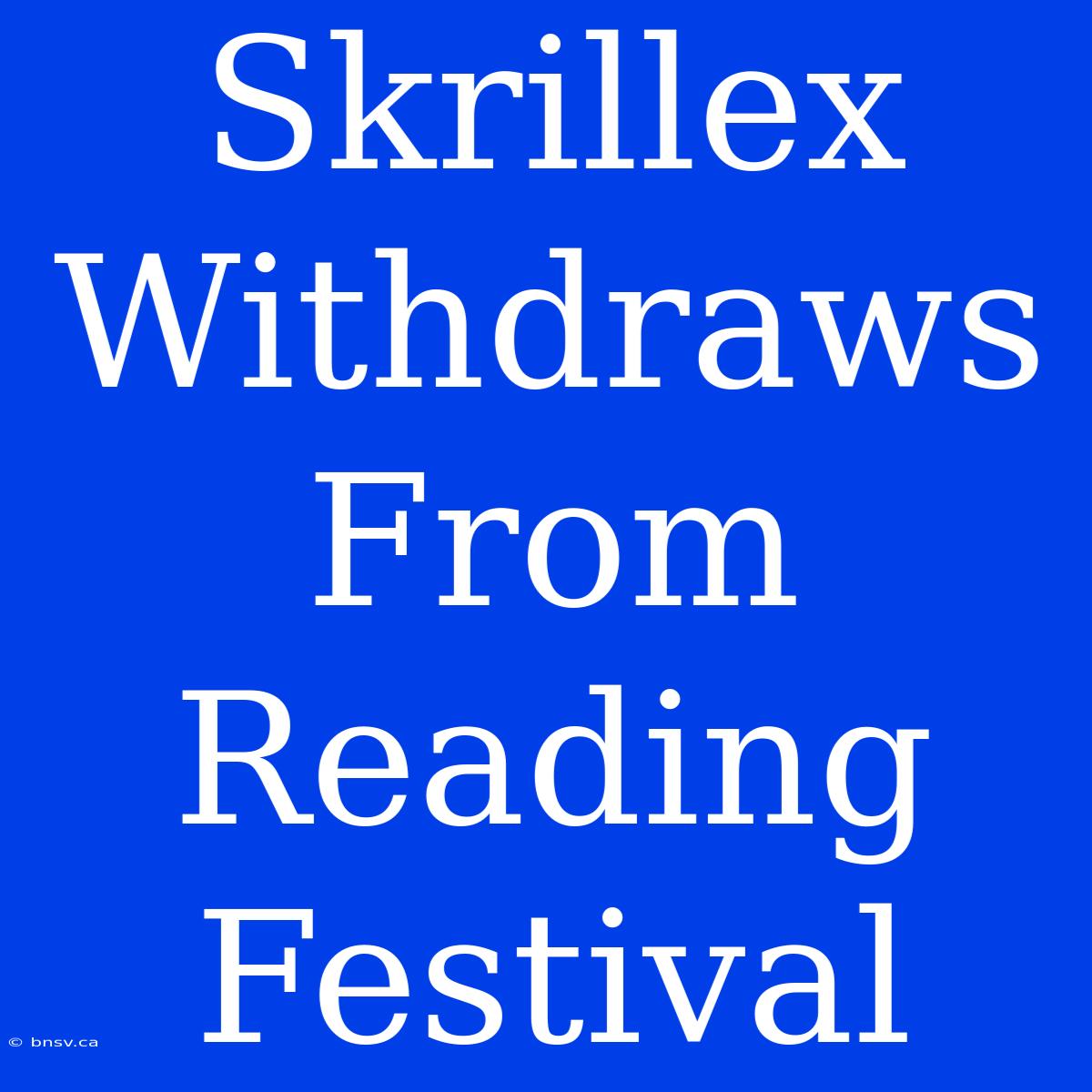 Skrillex Withdraws From Reading Festival