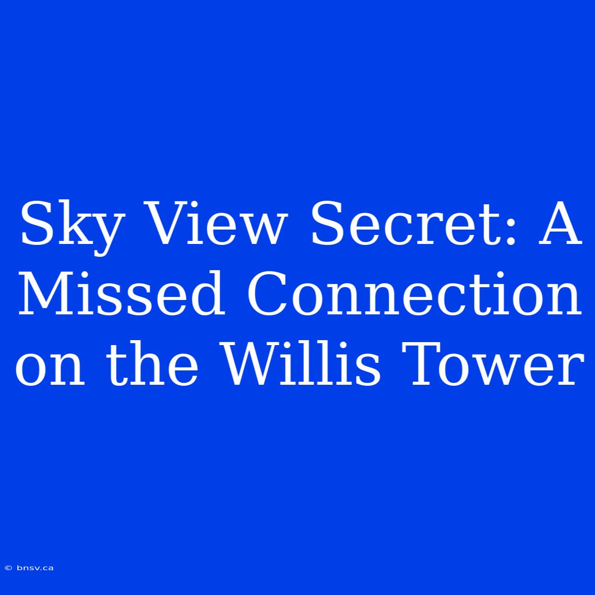 Sky View Secret: A Missed Connection On The Willis Tower