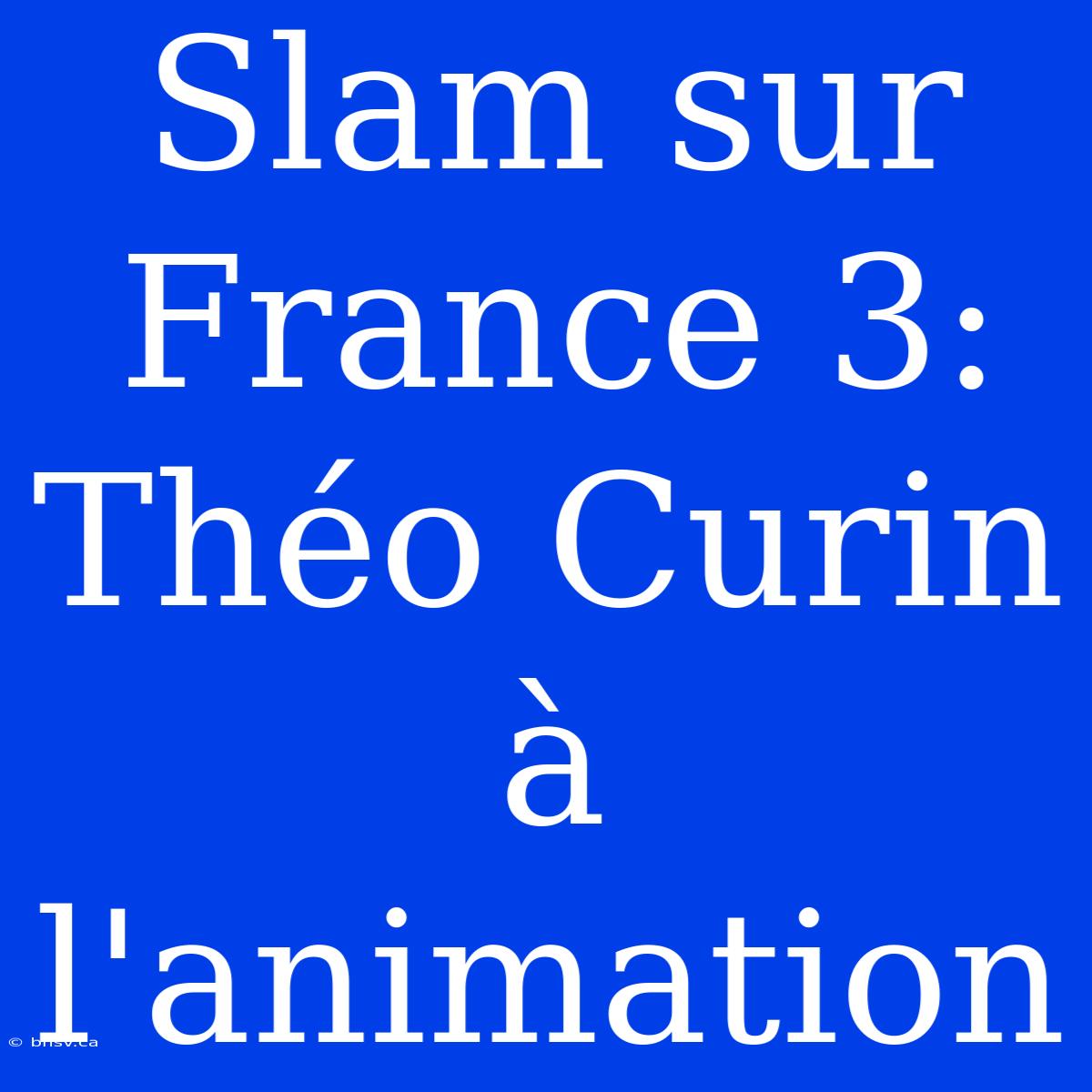 Slam Sur France 3: Théo Curin À L'animation