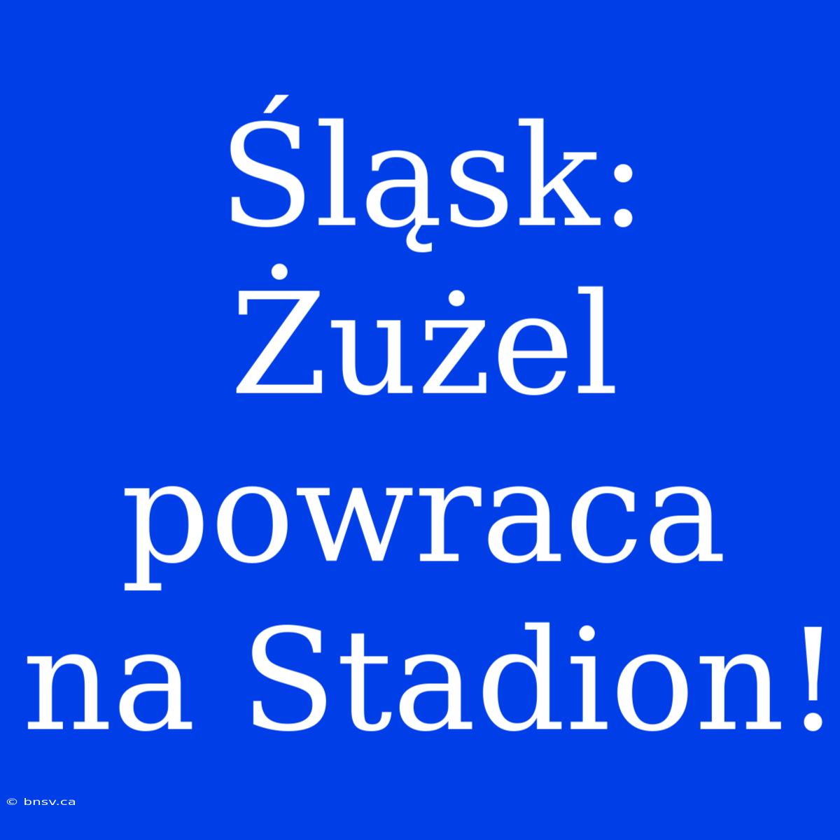 Śląsk: Żużel Powraca Na Stadion!