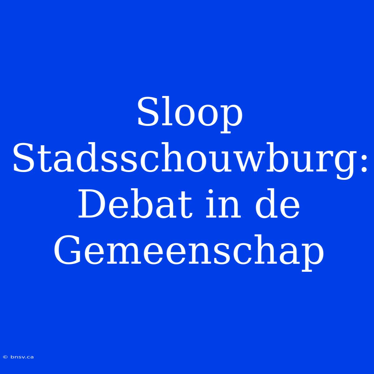 Sloop Stadsschouwburg: Debat In De Gemeenschap