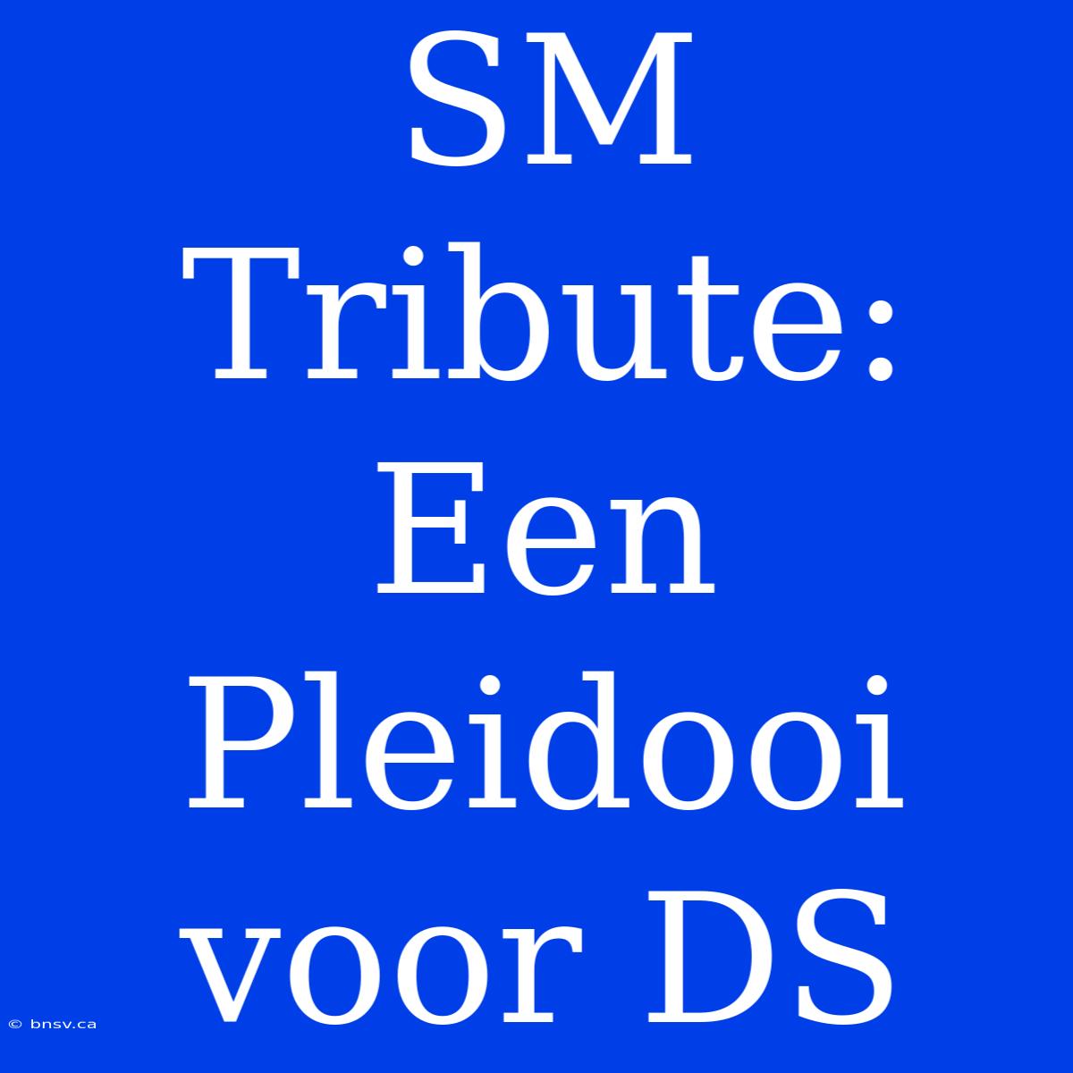 SM Tribute: Een Pleidooi Voor DS