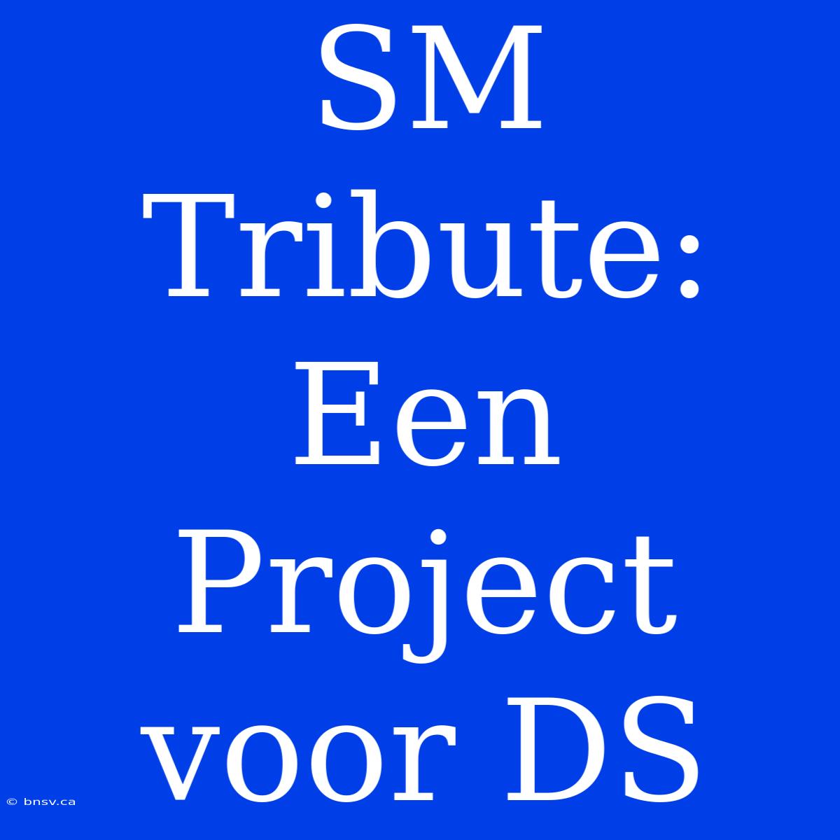 SM Tribute: Een Project Voor DS