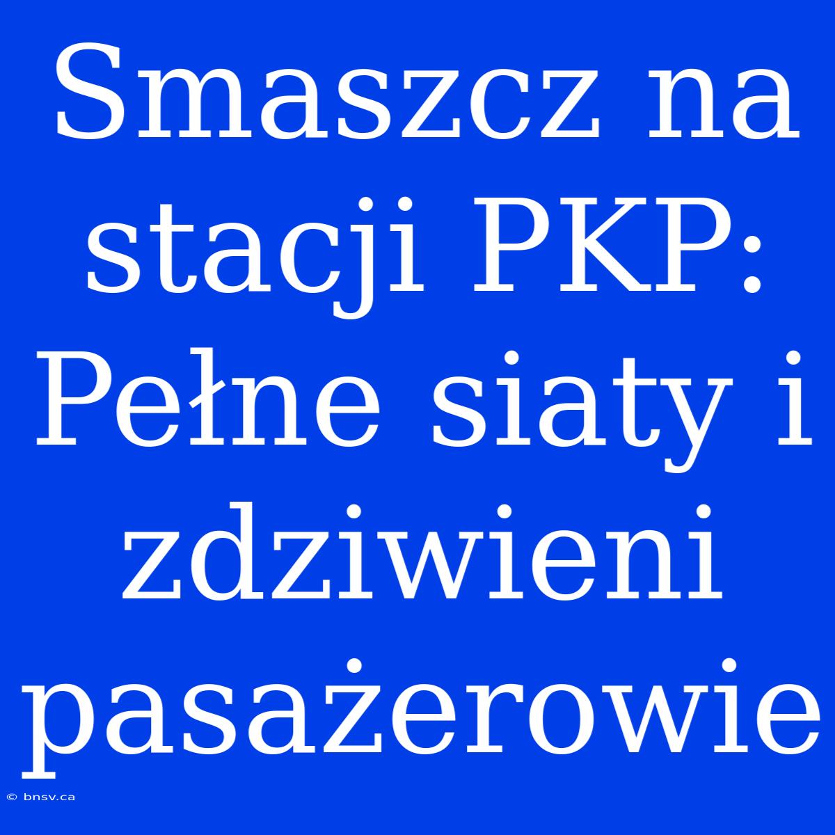 Smaszcz Na Stacji PKP: Pełne Siaty I Zdziwieni Pasażerowie