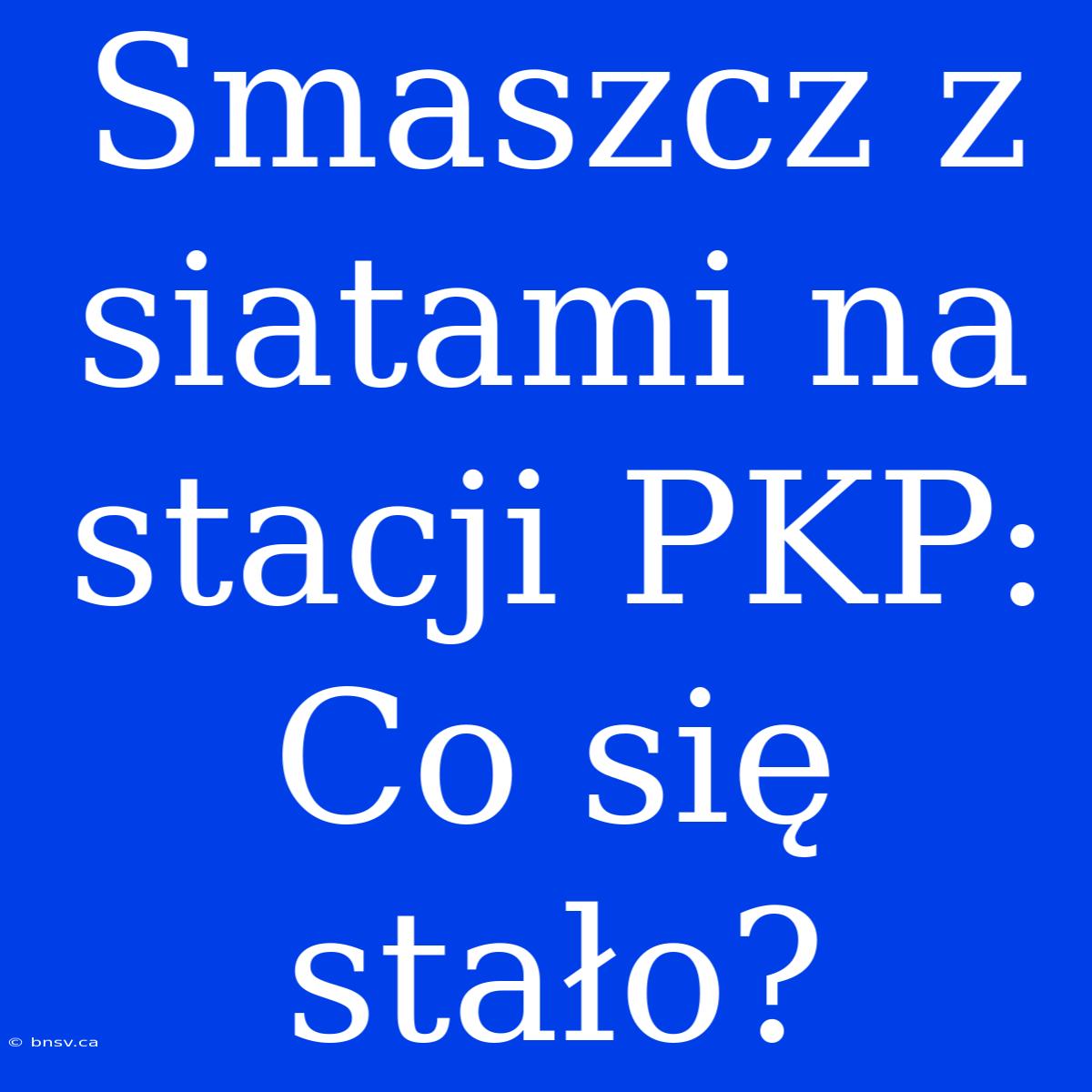 Smaszcz Z Siatami Na Stacji PKP: Co Się Stało?