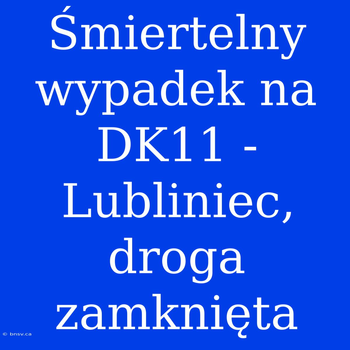 Śmiertelny Wypadek Na DK11 - Lubliniec, Droga Zamknięta