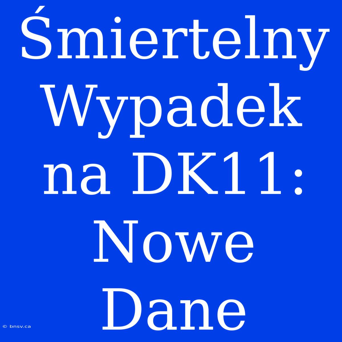 Śmiertelny Wypadek Na DK11:  Nowe Dane