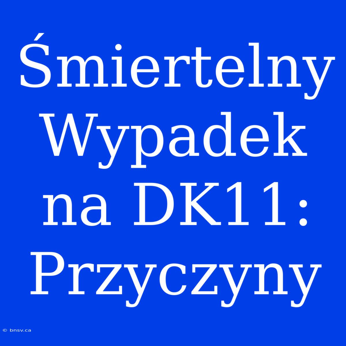 Śmiertelny Wypadek Na DK11:  Przyczyny