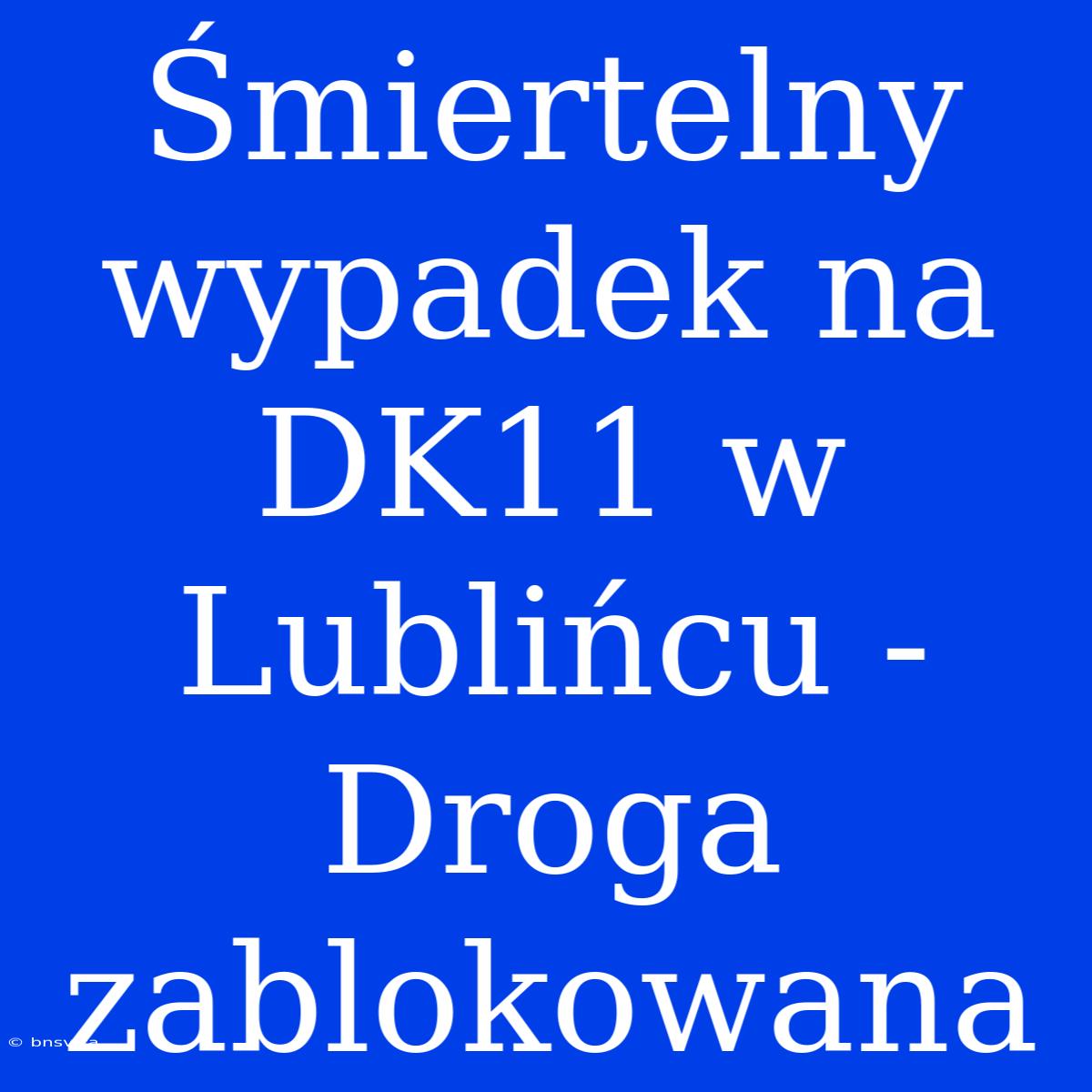 Śmiertelny Wypadek Na DK11 W Lublińcu - Droga Zablokowana