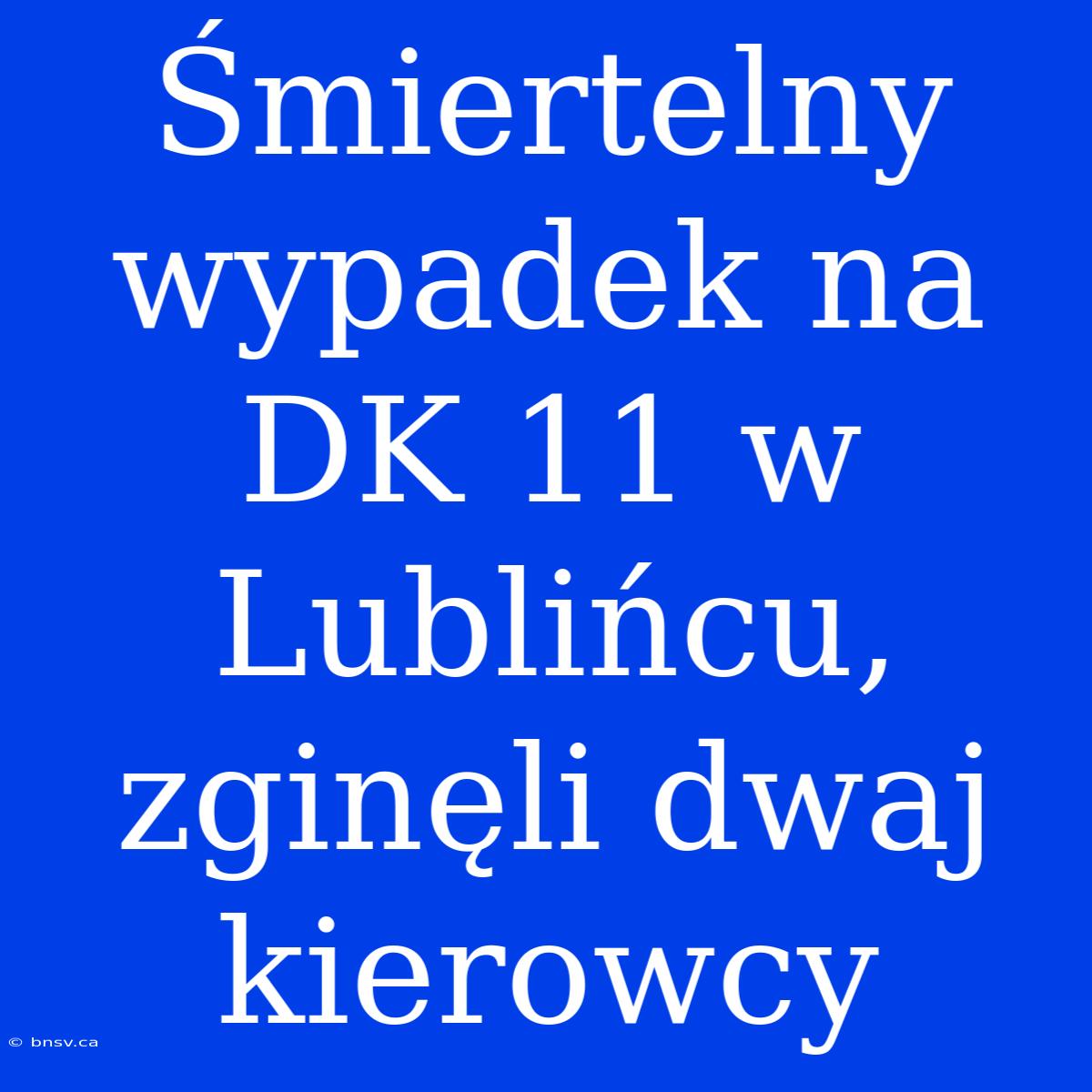 Śmiertelny Wypadek Na DK 11 W Lublińcu, Zginęli Dwaj Kierowcy