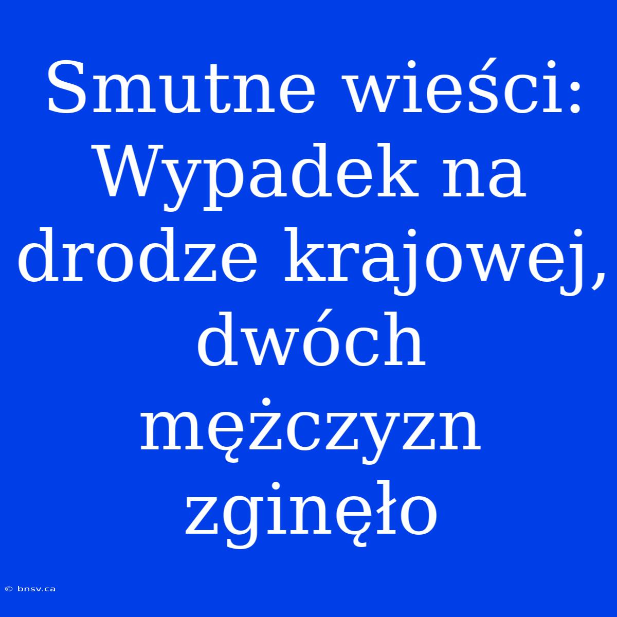 Smutne Wieści: Wypadek Na Drodze Krajowej, Dwóch Mężczyzn Zginęło